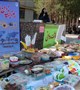 زنگ صبحانه سالم به صورت نمادین در یکی از مدارس استان کرمان زده شد